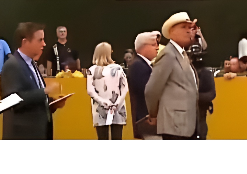 Arabian Horse Show