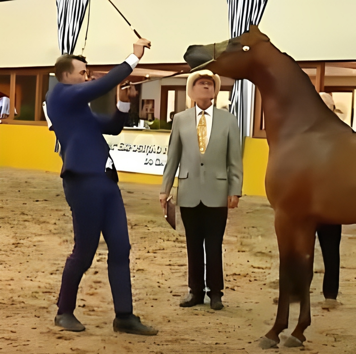 Arabian Horse Show