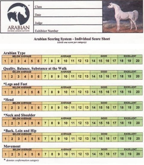 Arabian Scoring System