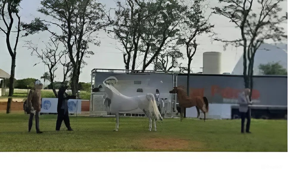 Arabian Horse Show